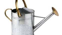 Watering can